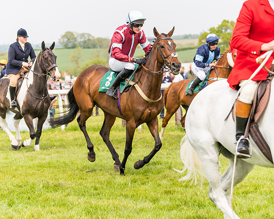 Race 2 - Owner-Trainer Conditions  (39 of 208)