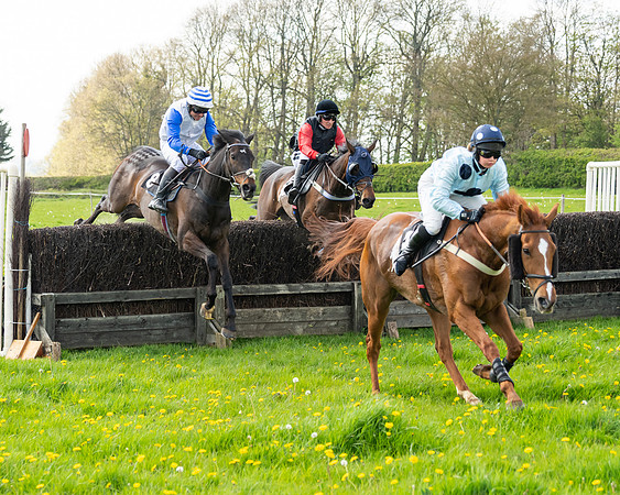 Race 2 - Veteran Horse  (66 of 82)