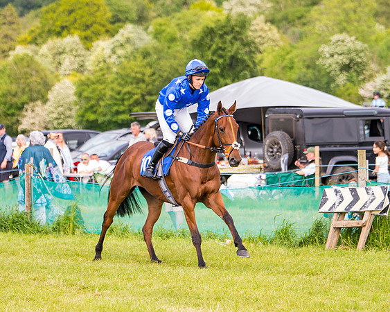 Race 6 - Open Maiden (107 of 346)