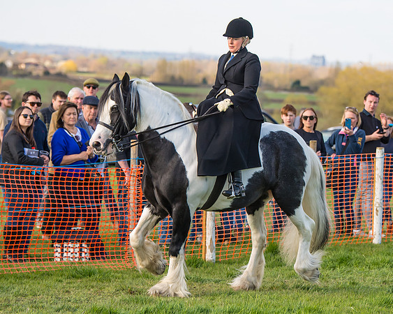 Side Saddle dash  (5 of 170)