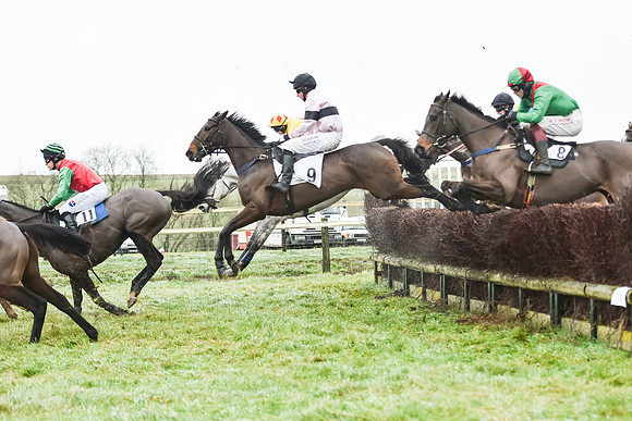 Race 5 - The Intermediate (31 of 59).jpg
