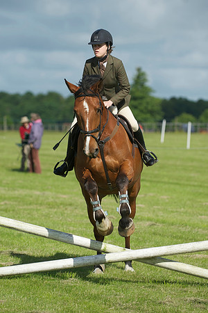SOHS PC Summer Show at BCA 17th June 2012