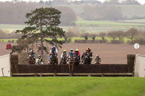 Race 2 - Young Horse Maiden (39 of 110).jpg