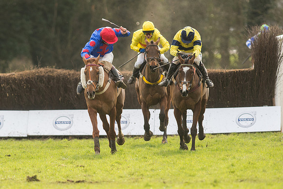 Race 5 - 2M 4F Conditions (78 of 96).jpg