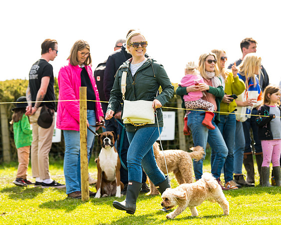 Dog show etc (80 of 157)
