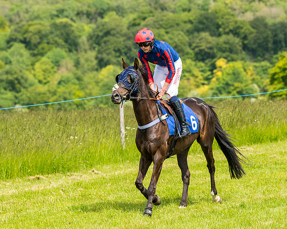 Race 2 - PPORA Novice Riders (179 of 444)