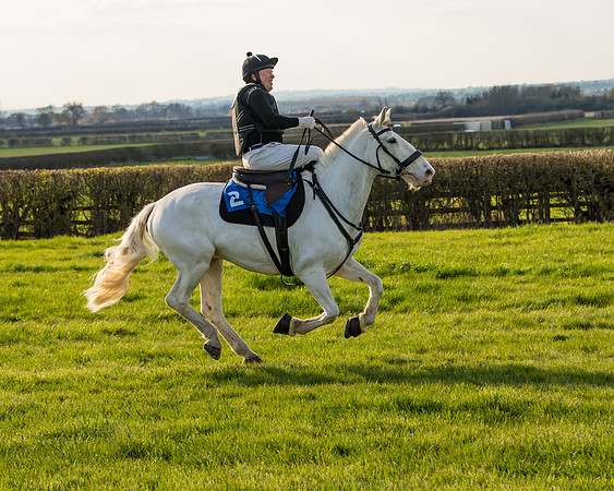 Side Saddle dash  (119 of 170)
