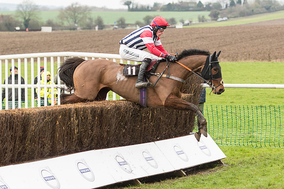 Race 1 - Young Horse Maiden (46 of 50).jpg