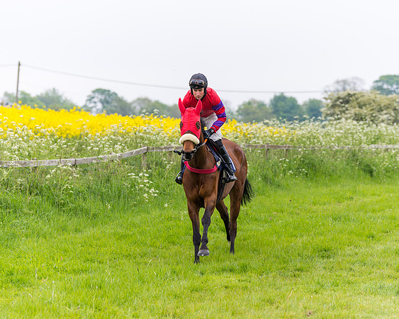 Race 6 - The Maiden [NWFAA] (26 of 143)
