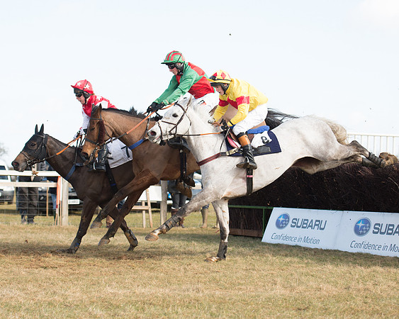 Race 1 - 4-5-6 Maiden (90 of 119).jpg