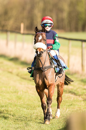 Pony Race 1  (10 of 34).jpg