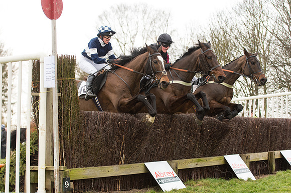 Race 2 - PPORA Novice riders  (148 of 186).jpg