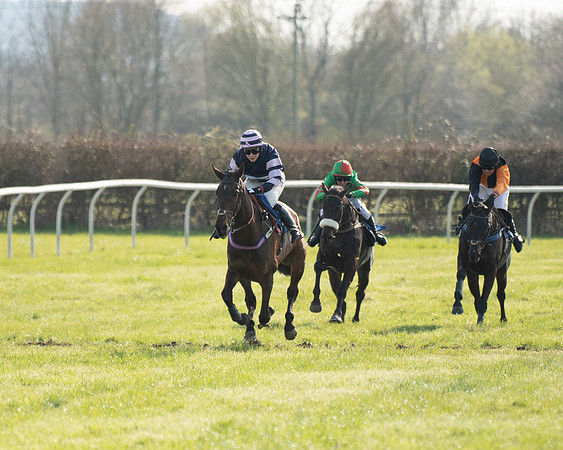 Race 5 - The Waverton Investment Management Ltd Restricted Race farmers and subscribers Race  (111 of 161)