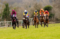 Race 5 - Open Maiden (16 of 38).jpg