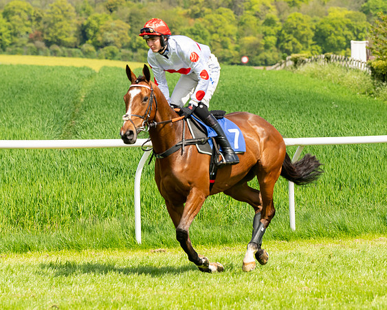 Race 1 - The Condiitions race (18 of 123)