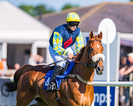Race 1 - JFF Open Hunter Steeple Chase 2m  (34 of 202)