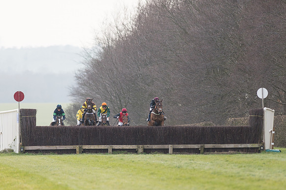 Race 6 Div 2 - Open Maiden  (81 of 131).jpg