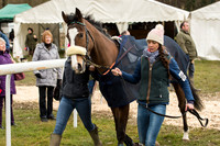 Race 1 - Div 1 - Young Horse Maiden (18 of 90).jpg