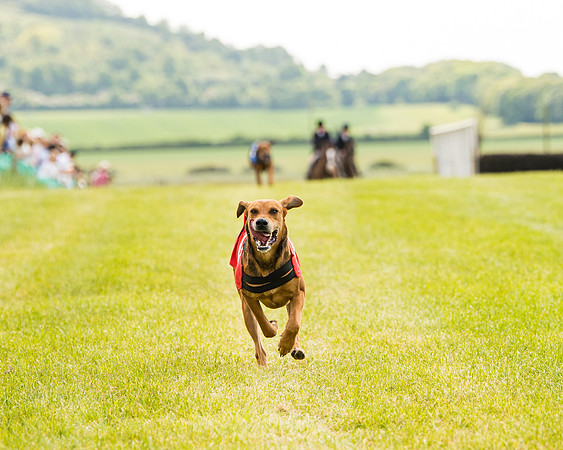 Draghounds Race (153 of 212)