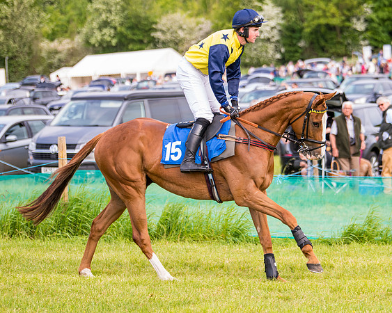 Race 6 - Open Maiden (101 of 346)
