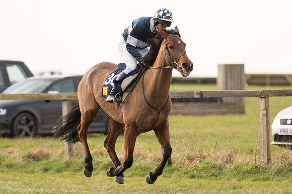 Race 6 Div 1 - Open Maiden  (28 of 116).jpg