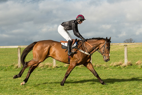 Race 2 - Young Horse Maiden (34 of 110).jpg