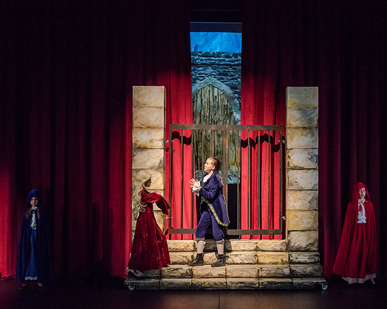 Beauty and the Beast (5 of 531)