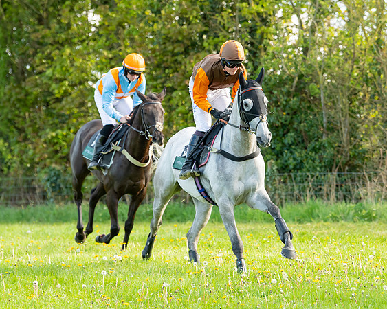 Race 7 - Maiden  (7 of 113)
