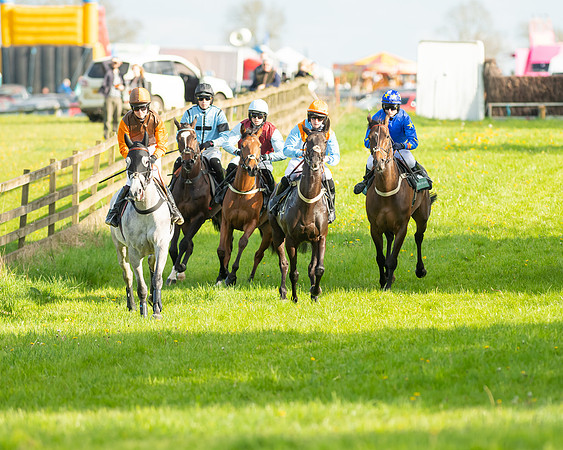 Race 7 - Maiden  (37 of 113)