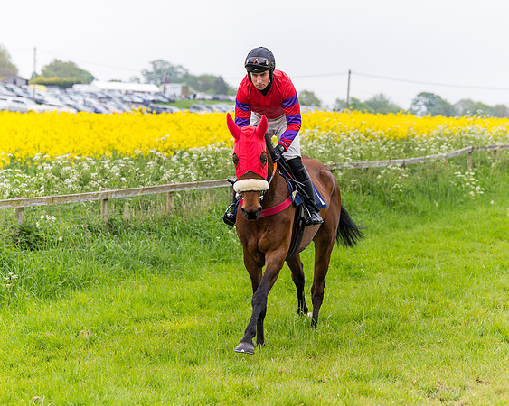 Race 6 - The Maiden [NWFAA] (28 of 143)