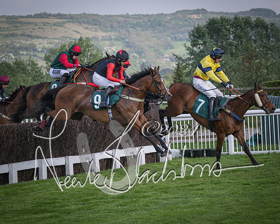 Race 2 - The Venatour sports travel intermediate point to point hunters’ steeplechase 5 year olds and over 3m2f (48 of 163)