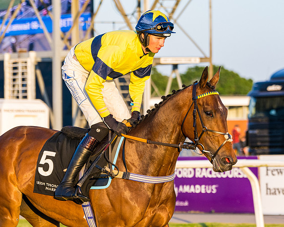 Race 7 - ITM NH Flat Race (51 of 197)