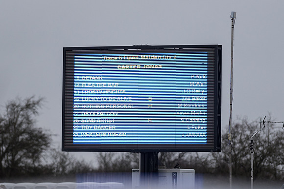 Race 6 - Open Maiden Race Div 2  (2 of 118).jpg