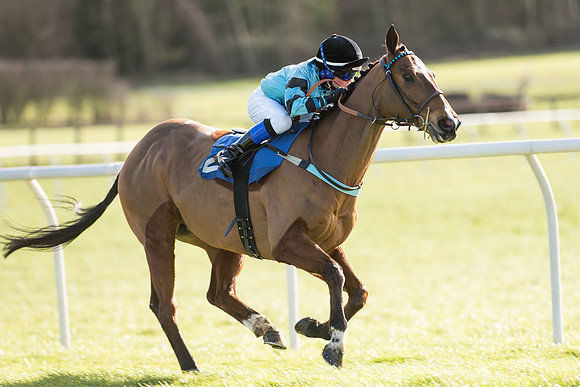 Pony Race 2 (10 of 22).jpg