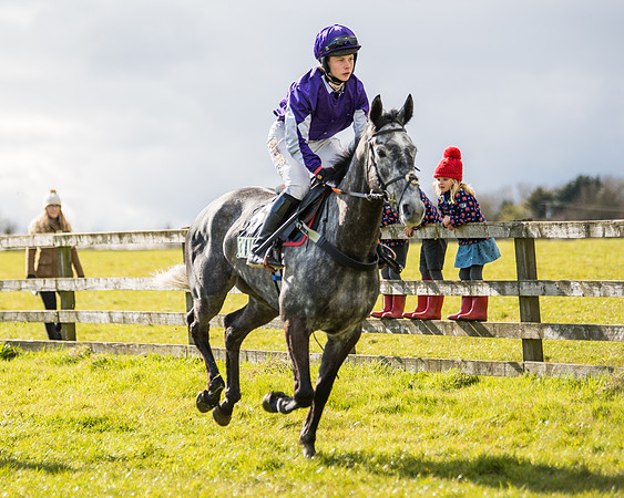 Race 5 - Restricted  (3 of 118)