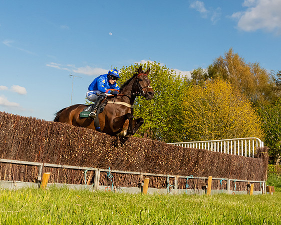 Race 7 - Maiden  (51 of 113)