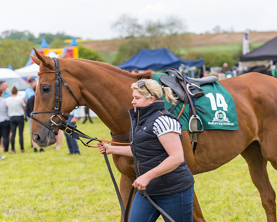 Race 7 - Veteran Horse conditions (17 of 244)