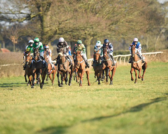 Race 2 - PPORA Novice Riders  (78 of 205)