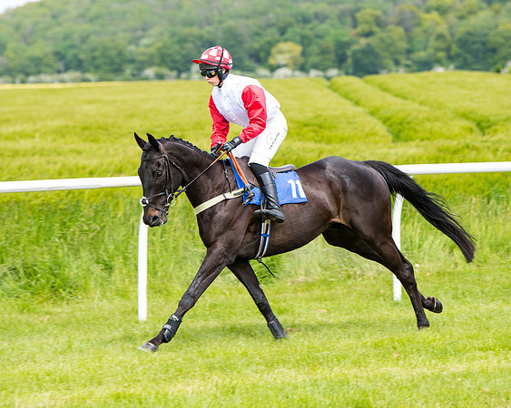 Race 1 - The Little Red owner Trainer conditions (85 of 345)