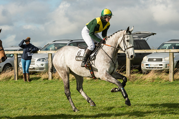Race 2 - Young Horse Maiden (11 of 110).jpg