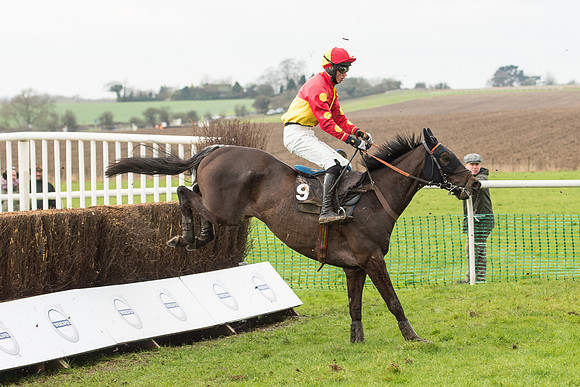 Race 1 - Young Horse Maiden (26 of 50).jpg