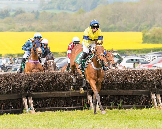 Race 2 - Owner-Trainer Conditions  (78 of 208)