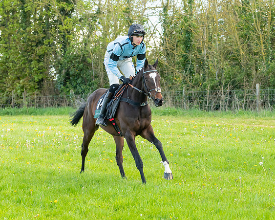 Race 7 - Maiden  (14 of 113)