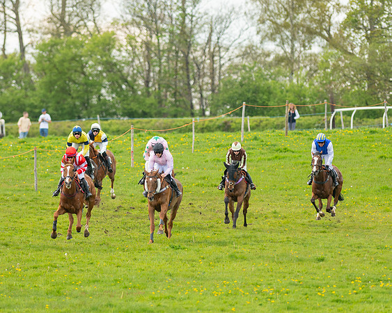Race 5 - Open Maiden  (13 of 89)