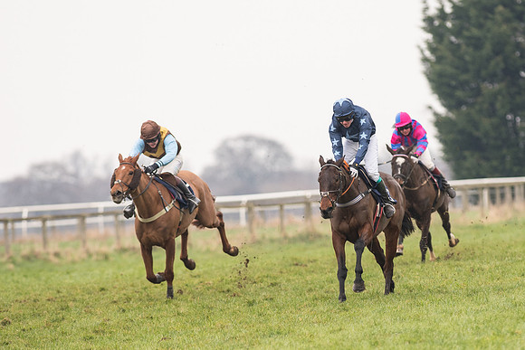 Race 5 - The Restricted Race (64 of 86).jpg