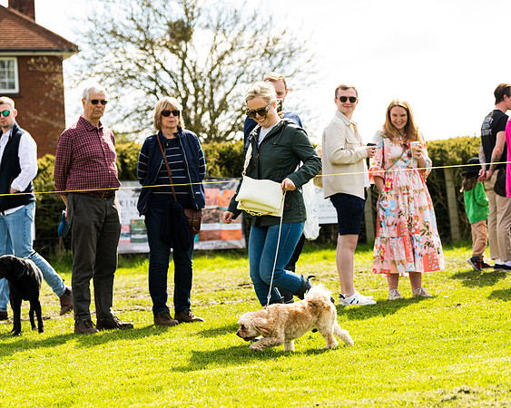 Dog show etc (83 of 157)