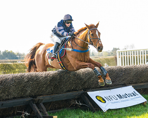 Race 4 - The Warehouse Reit Mixed Open Race  (64 of 124)