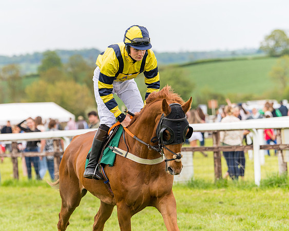 Race 7 - Veteran Horse conditions (83 of 244)