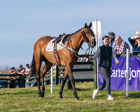 Race 5 - PPORA Five years and over (32 of 163)