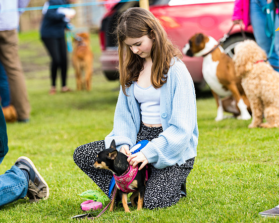 Dog show etc (141 of 157)
